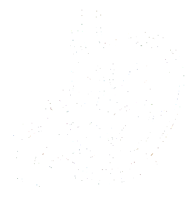 Visual representation of a healthy digestive system, symbolizing the benefit of digestive support.