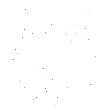 Visual representation of general well-being and balance